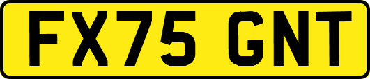 FX75GNT