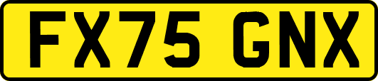 FX75GNX