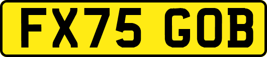 FX75GOB