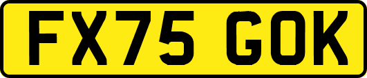 FX75GOK