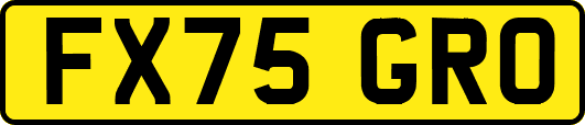 FX75GRO