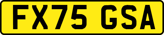 FX75GSA