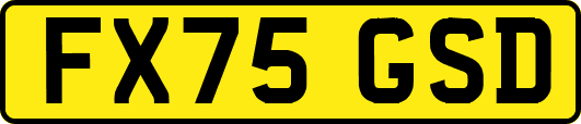 FX75GSD