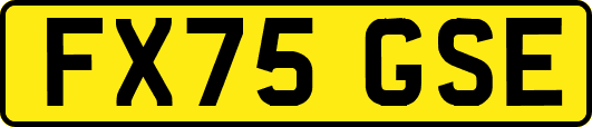 FX75GSE