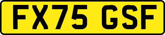 FX75GSF