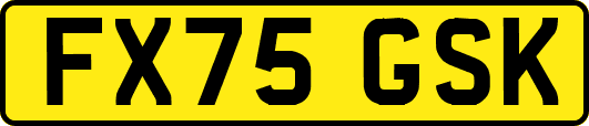 FX75GSK
