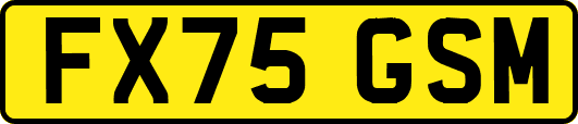 FX75GSM