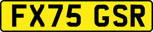 FX75GSR