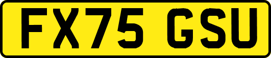 FX75GSU
