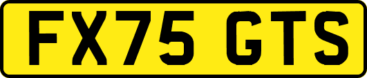FX75GTS