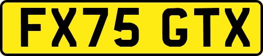 FX75GTX