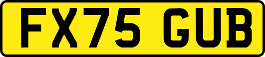 FX75GUB
