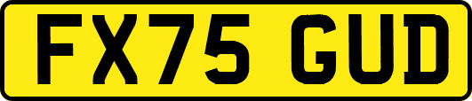 FX75GUD