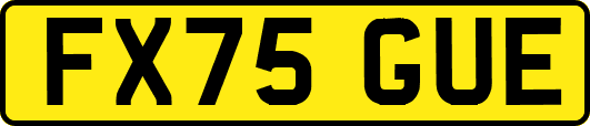 FX75GUE