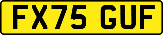 FX75GUF