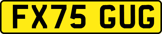 FX75GUG