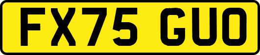 FX75GUO