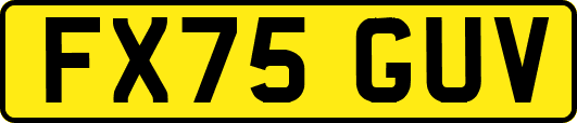 FX75GUV