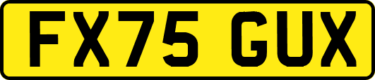 FX75GUX