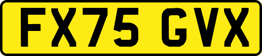 FX75GVX