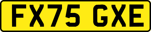 FX75GXE