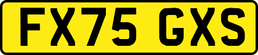 FX75GXS