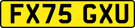 FX75GXU