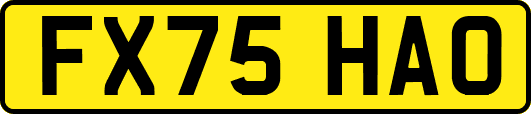 FX75HAO