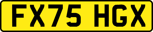 FX75HGX