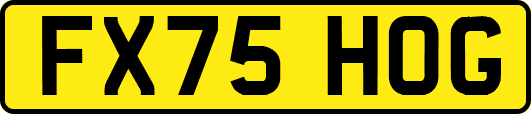 FX75HOG