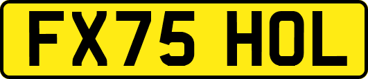 FX75HOL