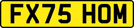 FX75HOM
