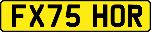 FX75HOR