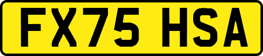 FX75HSA
