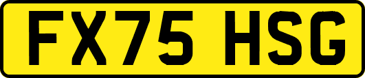 FX75HSG