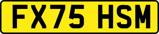 FX75HSM
