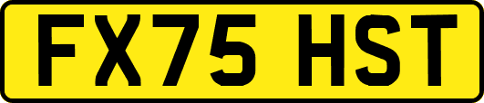 FX75HST