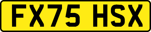 FX75HSX