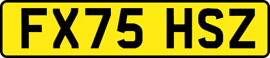 FX75HSZ