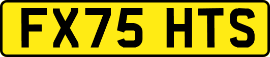 FX75HTS