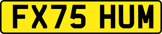 FX75HUM
