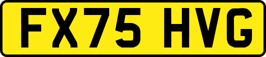 FX75HVG