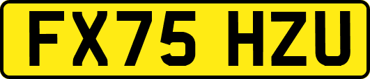 FX75HZU