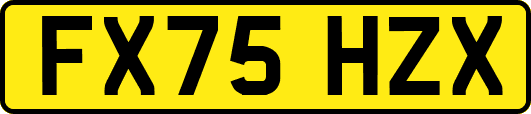 FX75HZX