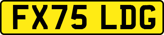 FX75LDG