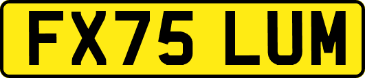 FX75LUM