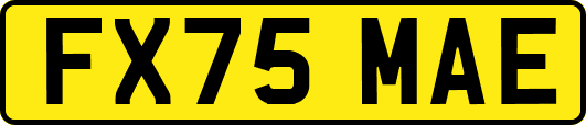 FX75MAE