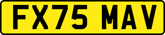 FX75MAV