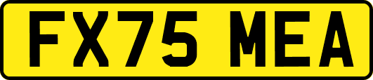 FX75MEA