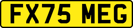 FX75MEG